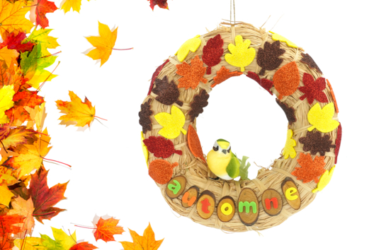 Activite Enfant Couronne Automne Oiseau - Activités manuelles Automne - 10doigts.fr