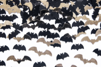 chauve souris halloween accessoires - Accessoires créatifs Halloween - 10doigts.fr