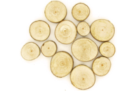 Set d’environ 10 rondelles rondes en bois (ø assortis de 2,5 à 5 cm - Epaisseur : 8 mm) - Décors nature - 10doigts.fr