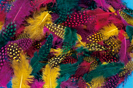 Cadre déco plumes de faisan - Activités manuelles fête des mères – 10doigts.fr