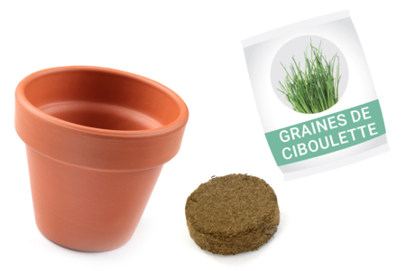ciboulette en pot kit enfants - Jardinage enfants – 10doigts.fr