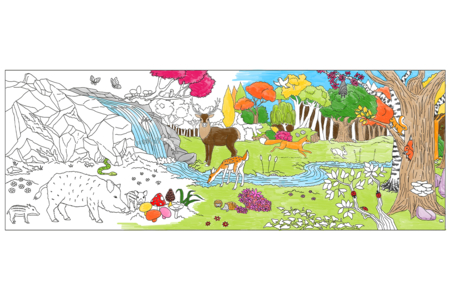 coloriage forêt - Supports de Coloriages – 10doigts.fr