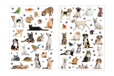 Gommettes Animaux Domestiques Realistes - Gommettes Animaux – 10doigts.fr