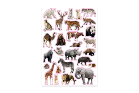 Gommettes Animaux Sauvages Realistes - Gommettes Animaux – 10doigts.fr