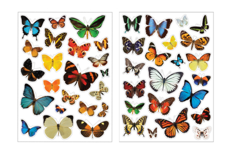 Gommettes Papillons Realistes - Gommettes Animaux – 10doigts.fr