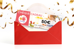 chèque kdo 10 doigts 50 euros - Idées Cadeaux DIY Noël - 10doigts.fr