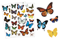 stickers papillons  - Gommettes Réalistes - 10doigts.fr