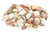 assortiment coquillages pas cher 1 kg - Galets et coquillages – 10doigts.fr
