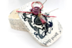 boite fiole et cachet vintage - Supports en Verre – 10doigts.fr