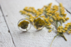 boucle d'oreilles mimosa - Moules pour plâtre, savon, béton ... – 10doigts.fr