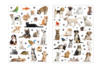 Gommettes Animaux Domestiques Realistes - Gommettes Animaux – 10doigts.fr