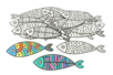 Poissons à colorier - set de 30 poissons - Supports Pâques – 10doigts.fr