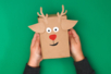 Emballage Cadeau Renne - Papier kraft et liège – 10doigts.fr
