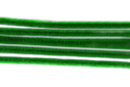 Chenilles vert foncé - Lot de 50 - Chenilles, cure-pipe - 10doigts.fr