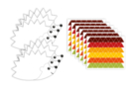 Kit hérissons + gommettes - 6 pièces - Kits créatifs Automne 52094 - 10doigts.fr