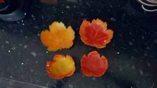 Arbre et feuille d'automne - 10doigts.fr