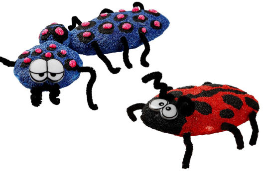 coccinelle foam clay - Activités manuelles modelage - 10doigts.fr