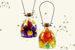 piège abeilles  - Supports en Verre - 10doigts.fr - 2