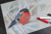 dessin au pastel sec - Pastels et Fusains – 10doigts.fr