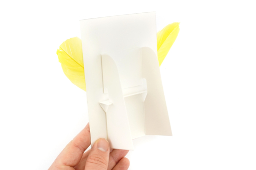 Étape 7 -