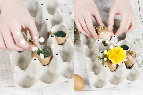Planter les fleurs -